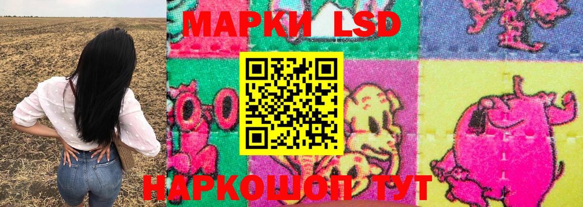 Марки NBOMe 1,8мг  Марки NBOMe 1,8мг  Хасавюрт  купить наркотик  Вход с VPN 