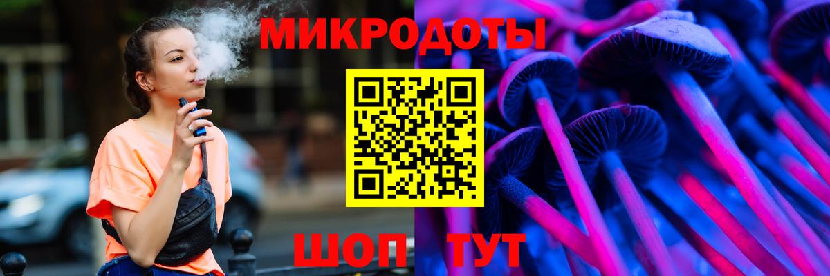 Псилоцибиновые грибы Cubensis Хасавюрт